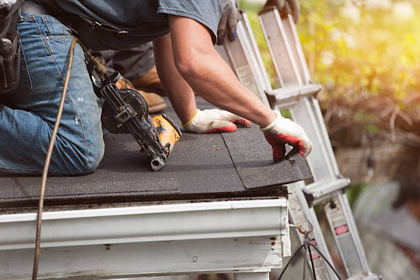 Roof Gutter Cleaning in Bloomingdale, IL